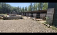 Продажа здания, 1400 м² в Шымкенте - фото 8