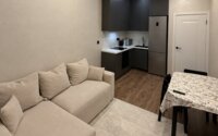 Аренда 1-комнатной квартиры, 42 м² в Астане