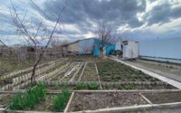 Продажа 4-комнатного дома, 80.8 м² в Темиртау - фото 23