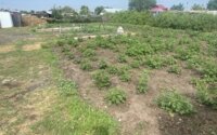 Продажа 4-комнатного дома, 60 м² в Акмолинской области - фото 16