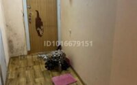 Продажа 2-комнатной квартиры, 51 м² в Алматы - фото 6