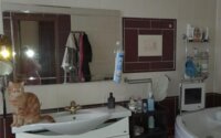 Продажа 10-комнатного дома, 560 м² в Темиртау - фото 21