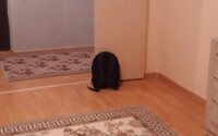 Продажа 1-комнатной квартиры, 40.3 м² в Астане - фото 2