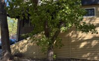 Продажа помещения, 36.9 м² в Караганде - фото 11