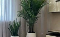 Продажа 2-комнатной квартиры, 80 м² в Алматы