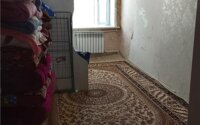 Продажа 2-комнатной квартиры, 45 м² в Абае - фото 2