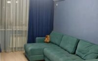 Продажа 2-комнатной квартиры, 50 м² в Алматы