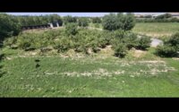 Продажа здания, 1400 м² в Шымкенте - фото 12