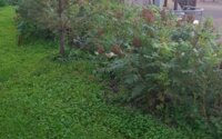 Продажа 3-комнатной квартиры, 75 м² в Караганде - фото 6