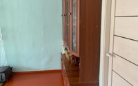 Продажа 5-комнатного дома, 100 м² в Алматинской области - фото 4