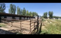 Продажа здания, 1400 м² в Шымкенте - фото 7