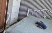Продажа 3-комнатной квартиры, 47 м² в Абае - фото 2