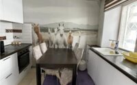 Продажа 2-комнатной квартиры, 52 м² в Караганде - фото 3