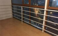 Продажа 3-комнатной квартиры, 120 м² в Астане - фото 4