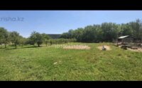 Продажа здания, 1400 м² в Шымкенте - фото 10