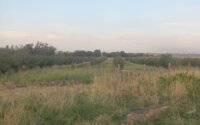 Продажа участка, 6 га в Шымкенте - фото 2