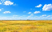 Продажа участка, 2 га в Акмолинской области - фото 2