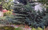 Продажа дачи, 6 сот. в Алматинской области - фото 10